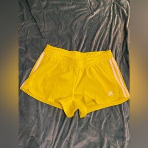 Fluorescent Adidas Shorts 💚